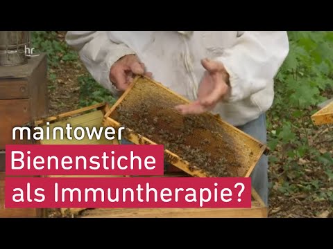 Video: Werden Imker immun gegen Bienenstiche?
