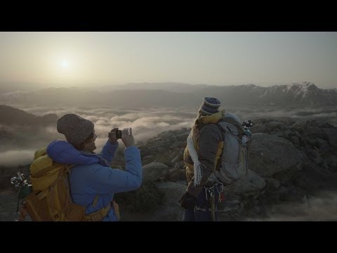 Nexus 5 - Dengan Spesifikasi Tinggi Dan Harga Yang Bagus. 