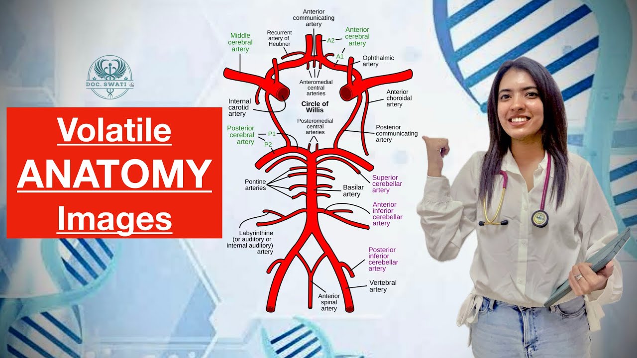 Is Neet Pg Tougher Than Inicet