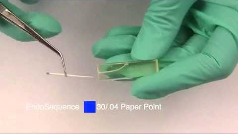 Shaping & Obturation Technique