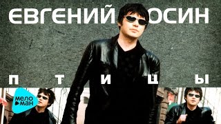 Евгений Осин  -  Птицы   ( Альбом1999 )