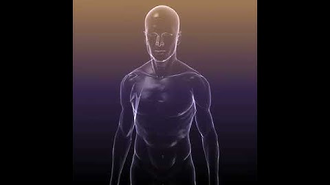 Human body anatomy 3D model for medical vizualisation