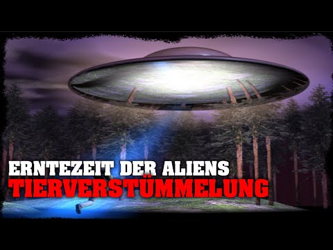 erntezeit-der-aliens-│-tierverstümmelungen-(1999)