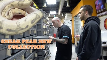 Sneak peak at new collection! Thermostat awareness!