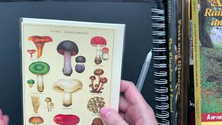 ASMR Introduction to Fungi with a Biology PhD Student screenshot 3
