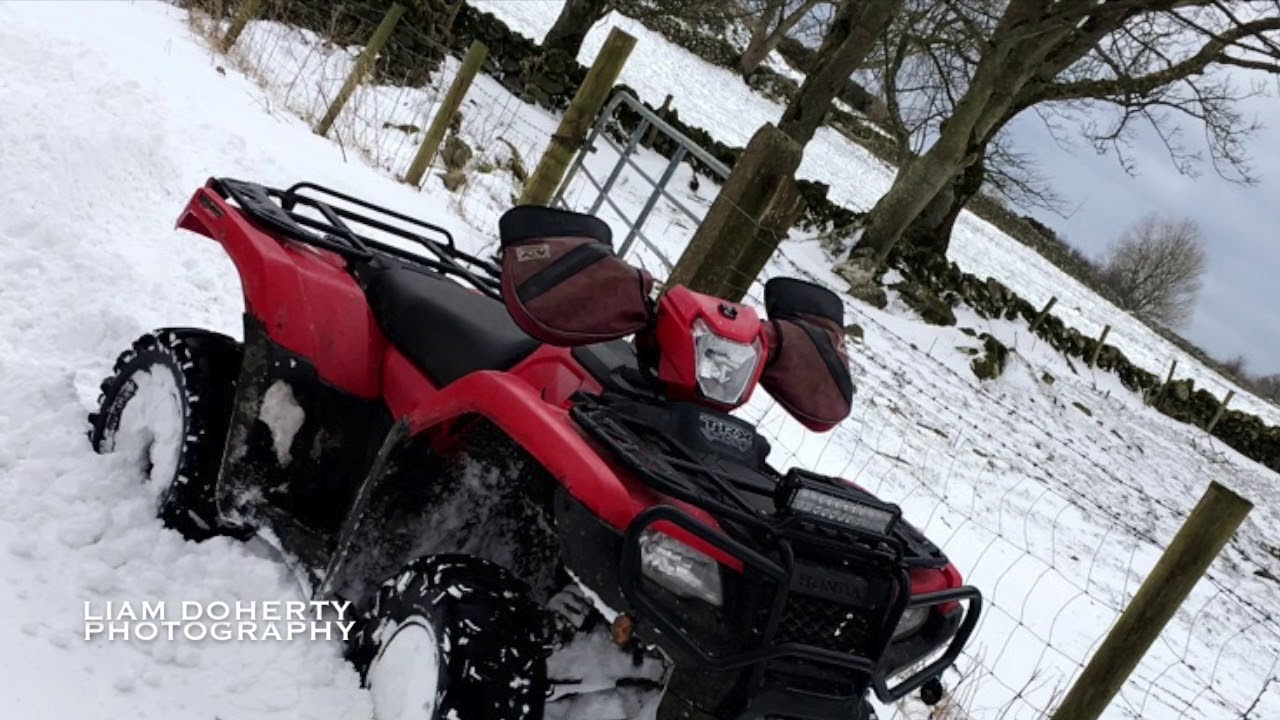 KING OF THE CONE YouTube