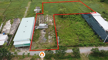 Bán đất 1/ đường Nguyễn Kim Cương - Tân Thạnh Đong ♻️ 3543m2 có 1500m thổ cư ♻️ Mặt tiền đường nhựa