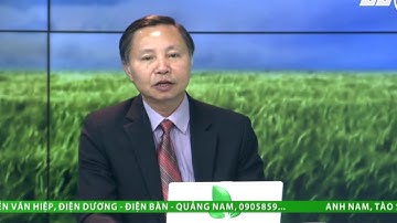 Cá trắm cỏ trợt vảy, xuất huyết, loét hậu môn