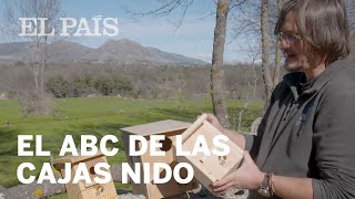 VIDA ECO: El ABC de las cajas nido