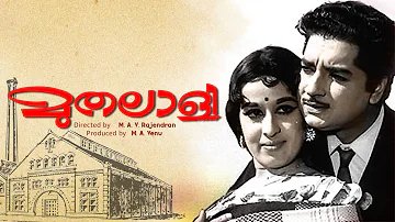 Muthalali Malayalam Full Movie | M. A. V. Rajendran | Prem Nazir | Sheela | Malayalam Old Movies