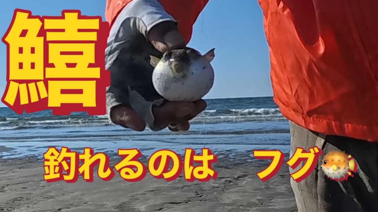 キスの釣れない日が続いています
