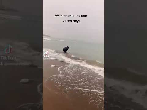 mersin Soli sahilinde serpmeyle yakalanan dev avcı