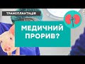 ПЕРЕСАДКА СВИНЯЧОЇ НИРКИ: експеремент та можливий прорив медицини