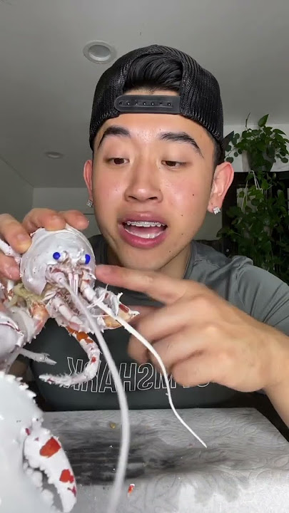 EATING AN ALBINO LOBSTER