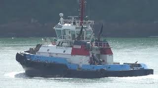 Tugboat《YAM O》Passing  the Ting Kau Bridge in HK 20261002_C0005