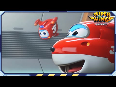 ✈ [SUPERWINGS] Superwings5 Super Pets! Full Episodes Live ✈