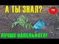 ПОЛИВ БУТЫЛКАМИ - ЛУЧШЕ чем Капельный полив! Plastic bottle Super efficient irrigation System