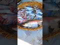 पंजाबी स्टाईल फिश करी Panjabi style fish curry    • panjabi fish curry | f...  # short #video#