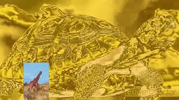 Lonely Goomba SpongeBob Theme Intro In GiraffeChorded