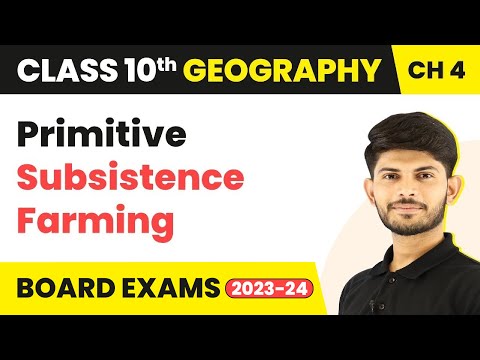 What Is Primitive Subsistence Agriculture Meaning In Hindi