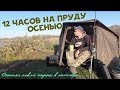 12 часов на пруду осенью | поймал осеннего карпа | HD