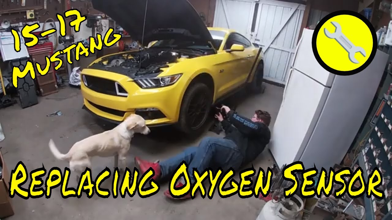 Replacing Oxygen Sensor on 15-17 Ford Mustang GT - YouTube