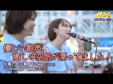 【 歌うま！】 優しい歌声、癒しの空気が漂ってました！　太陽と向日葵 / Flowe（cover） " consado " 新宿路上ライブ 4K映像