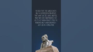 Schopenhauer’s Philosophy and the Simulation Theory: Are We Living in an Illusion? Think about this1