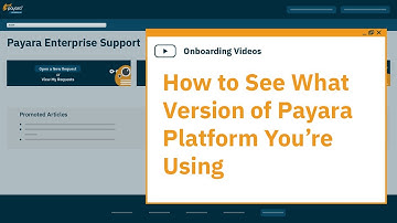 Payara Enterprise - How to See What Version of Payara Platform You