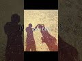 Jaat Gelya  yari #mylife#haryanvisong  #lifepartner #viralvideo #shortvideo #likeandsubscribe