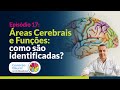 Reas cerebrais e funes como so identificadas  ep17