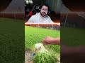 انا مستعد اشتغل طول اليوم 