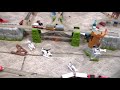 Thomas TrackMaster Layout #1