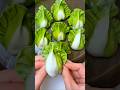 Wow amazing, how simple it is to fold dumplings #trending #shortsfeed  #dumplings