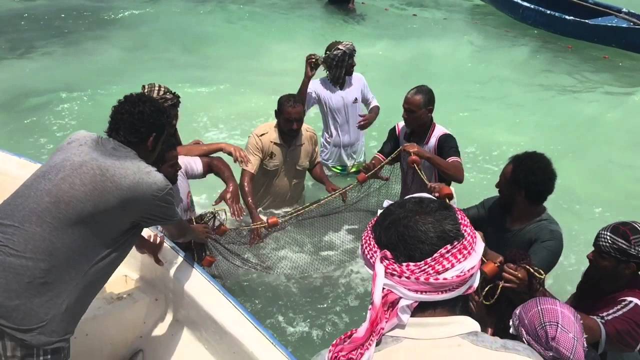 ماشي الحريد في ذهبان1436/7/18هـ