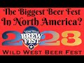 I drank so many beers at the wild west brew fest part 2  a couple of great conversations w brewers