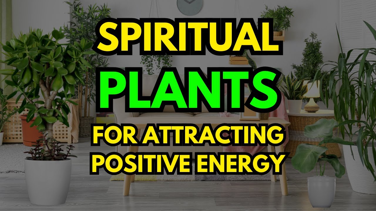 Top 10 Spiritual Plants to Attract Positive Energy into Your Home