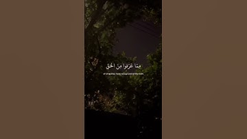آيه( 83 )من سورة المائدة تلاوة هادئة الشيخ سعود الشريم 💤🤍.