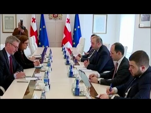 სესილია მალსტრომის ვიზიტი