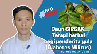 KOLESTEROL TINGGI...... TURUNKAN SECARA ALAMI DENGAN REBUSAN DAUN SIRSAK & BAGAIMANA CARA MEMBUATNYA