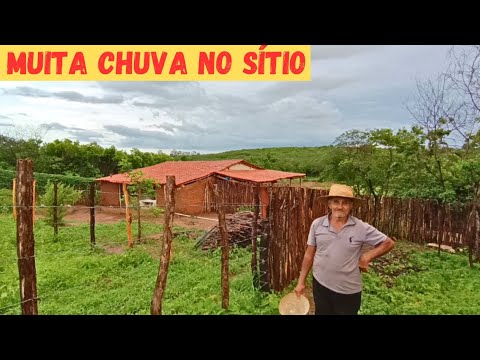 Muita Chuva ?️ no Sítio Vejam só Que Benção no Momento Certo ?