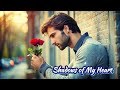 Shadows of My Heart 2024