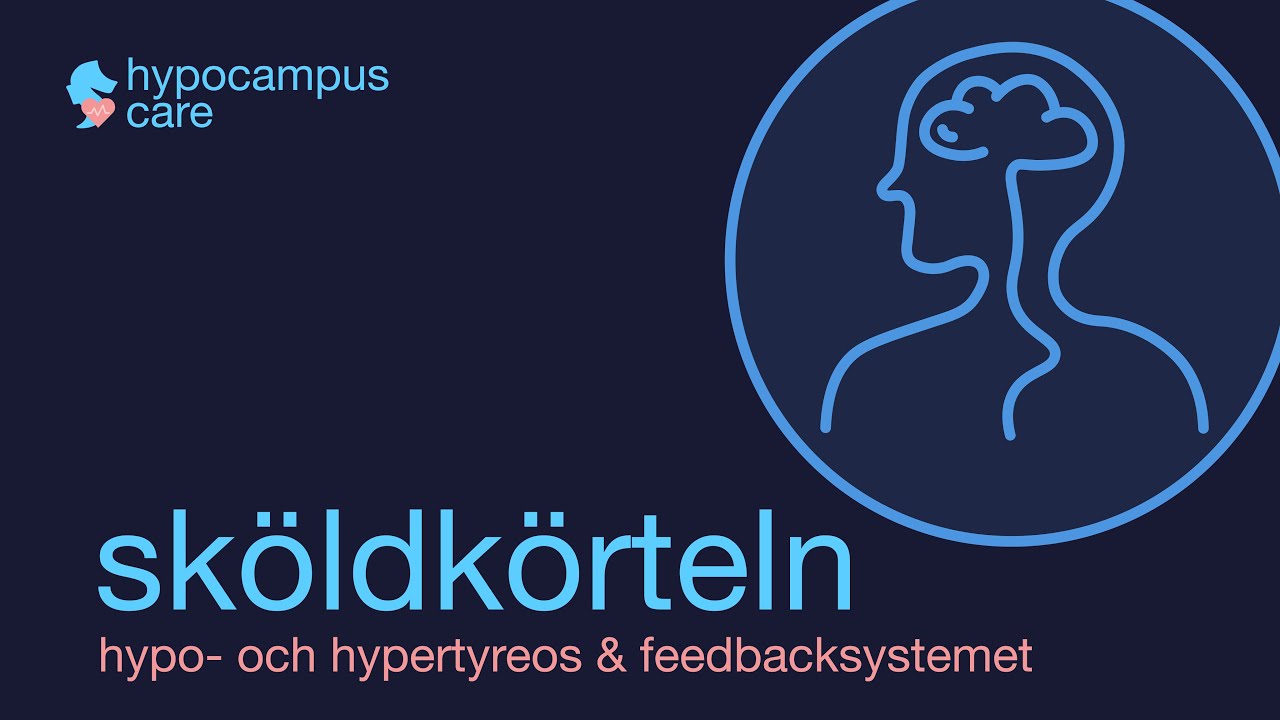 Sköldkörteln (hypotyreos/hypertyreos) & Feedback-systemet