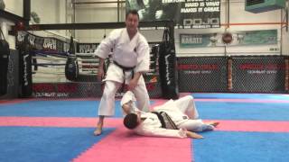 Famous Arm Control Drill and joint lock takedowns Wealth