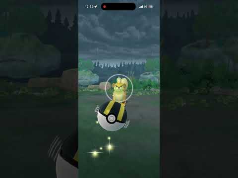 【ポケモンGO】Pokémon GO Fest 2026ででた色違い！？4匹目！！#ポケモンgo色違い  #ポケモン #ポケモンgo #pokemongo #pokémongovideos