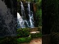 Little waterfall in #sintra 😎✨💚💧 #nature