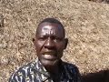 Patrick Shimanga Muleshe Buhubi Official Music Video 