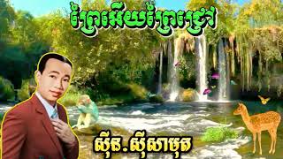 ព្រៃអើយព្រៃជ្រៅ(អធិរាជសម្លេងមាសលោក ស៊ីន ស៊ីសាមុត)❤️❤️❤️?