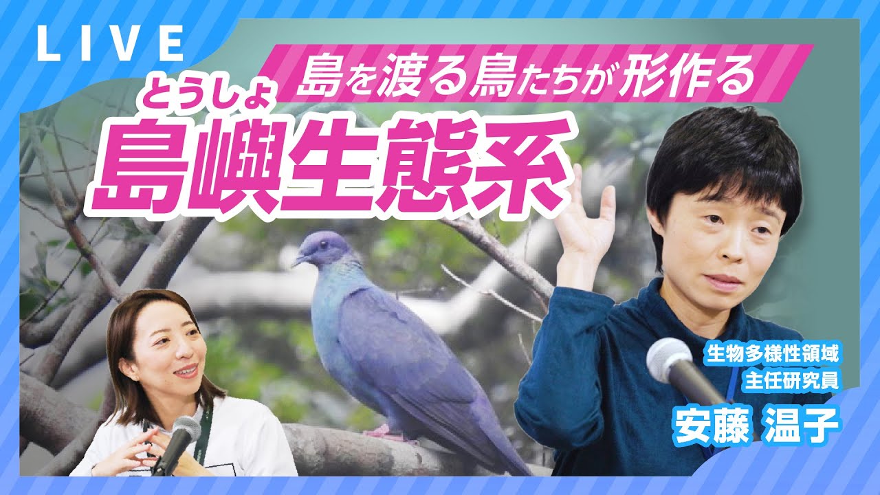 島を渡る鳥たちが形作る島嶼生態系 【すごいぞ！生物ニュース2025】
