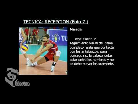 Vídeo: Com Triar Un Voleibol